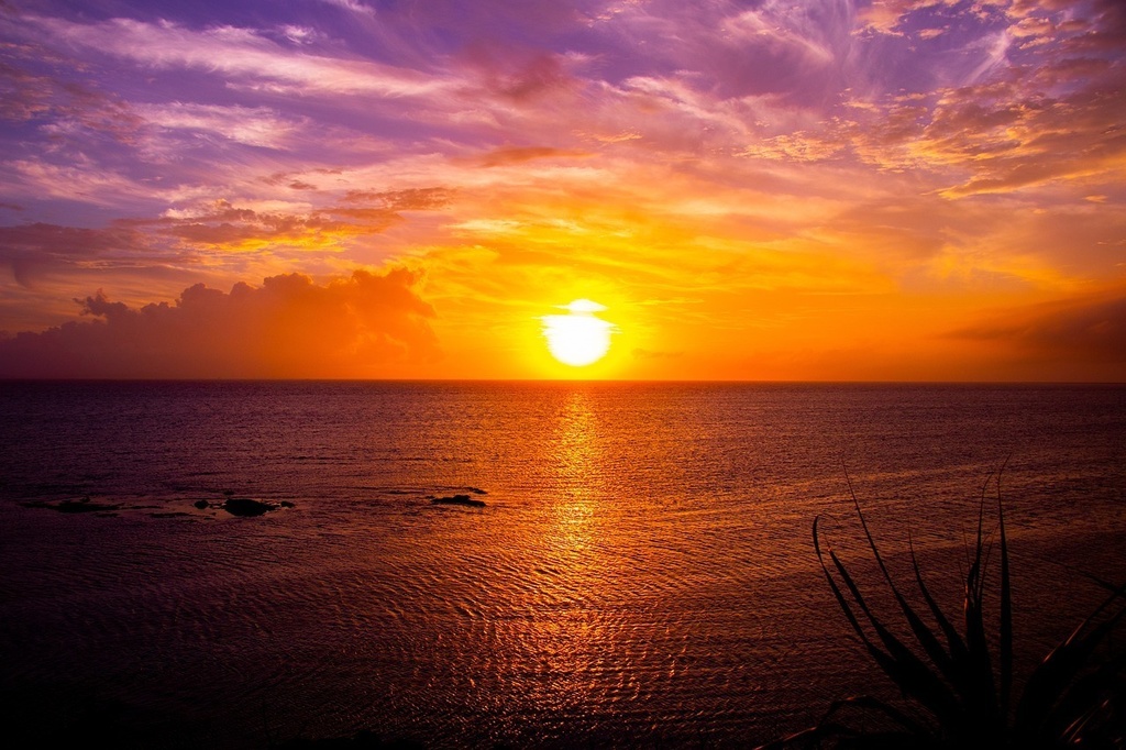 【FREE BGM・FREE MUSIC】Cherish Every Moment
