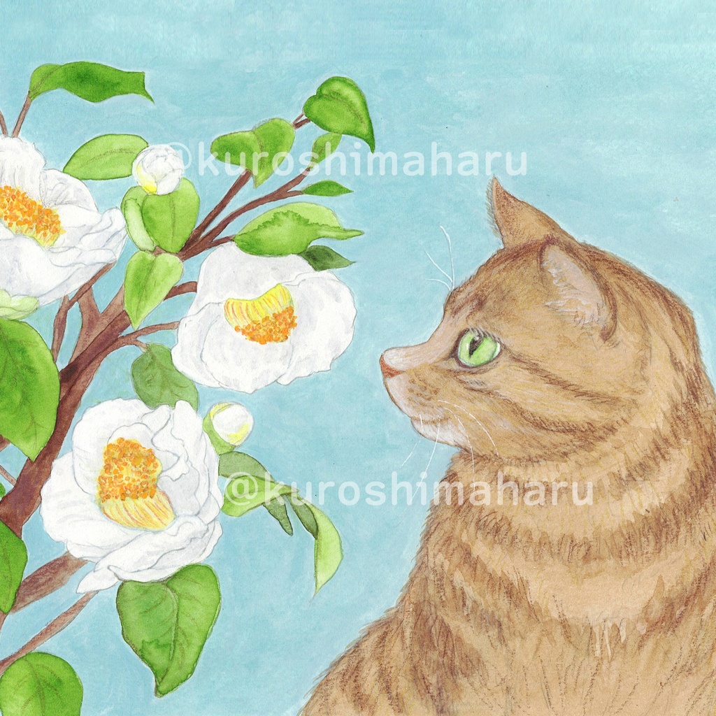 2026年度 卓上カレンダー(ハガキサイズ)木製スタンド付