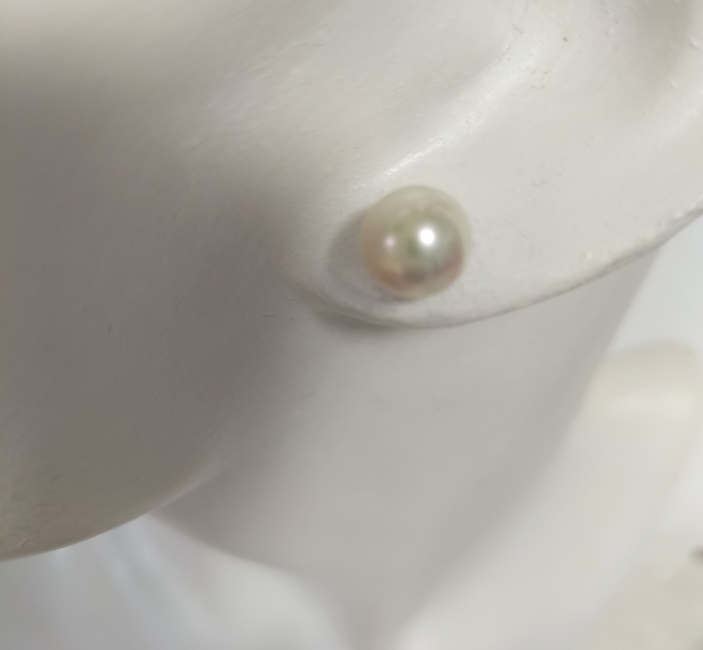 日本産あこや本真珠(宇和島産)のチタン製のピアス