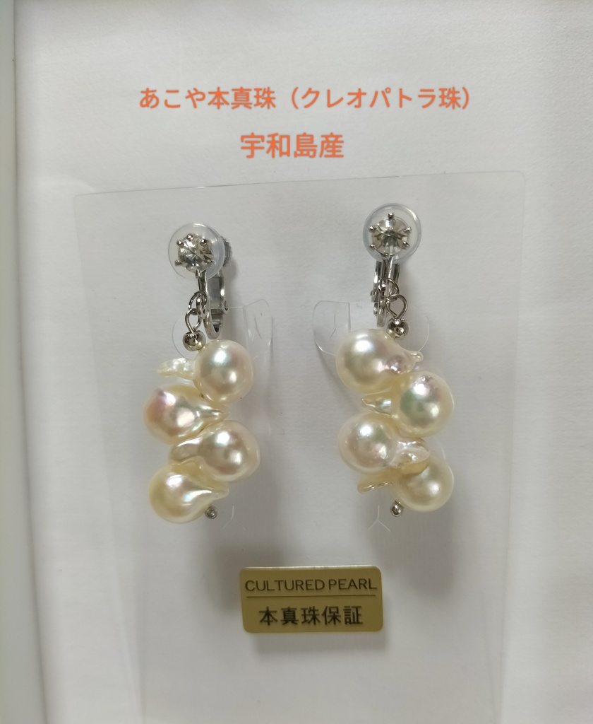 あこや本真珠（クレオパトラ珠）宇和島産のネジバネ式イヤリング
