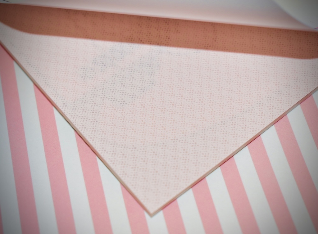 【キミと彩るセカイ2】VBS4人同棲 本