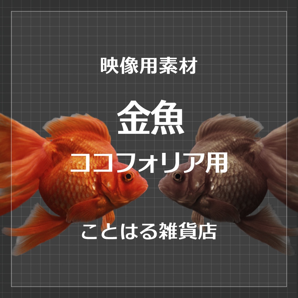 【ココフォリア素材】金魚