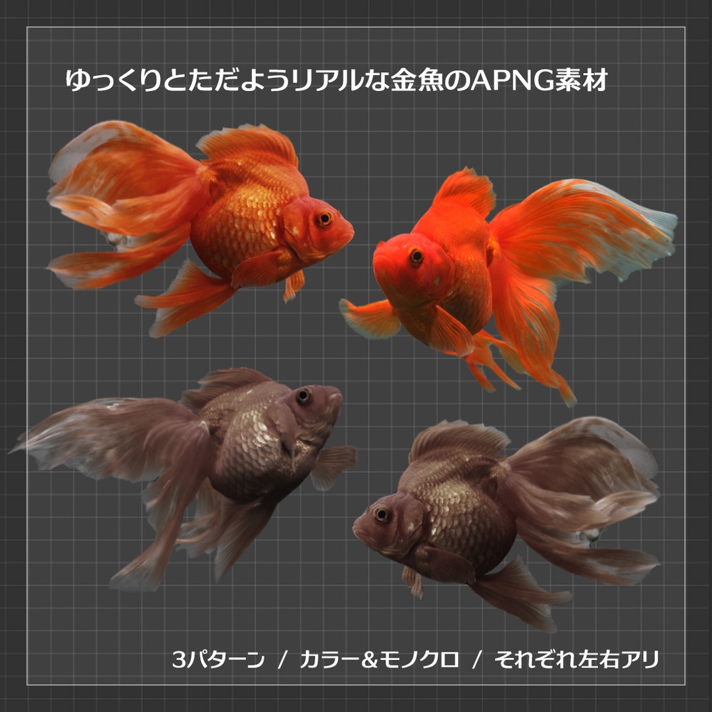 【ココフォリア素材】金魚