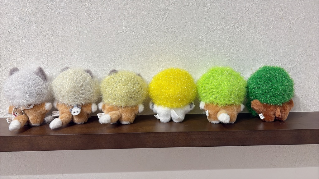 きらきらボンネット