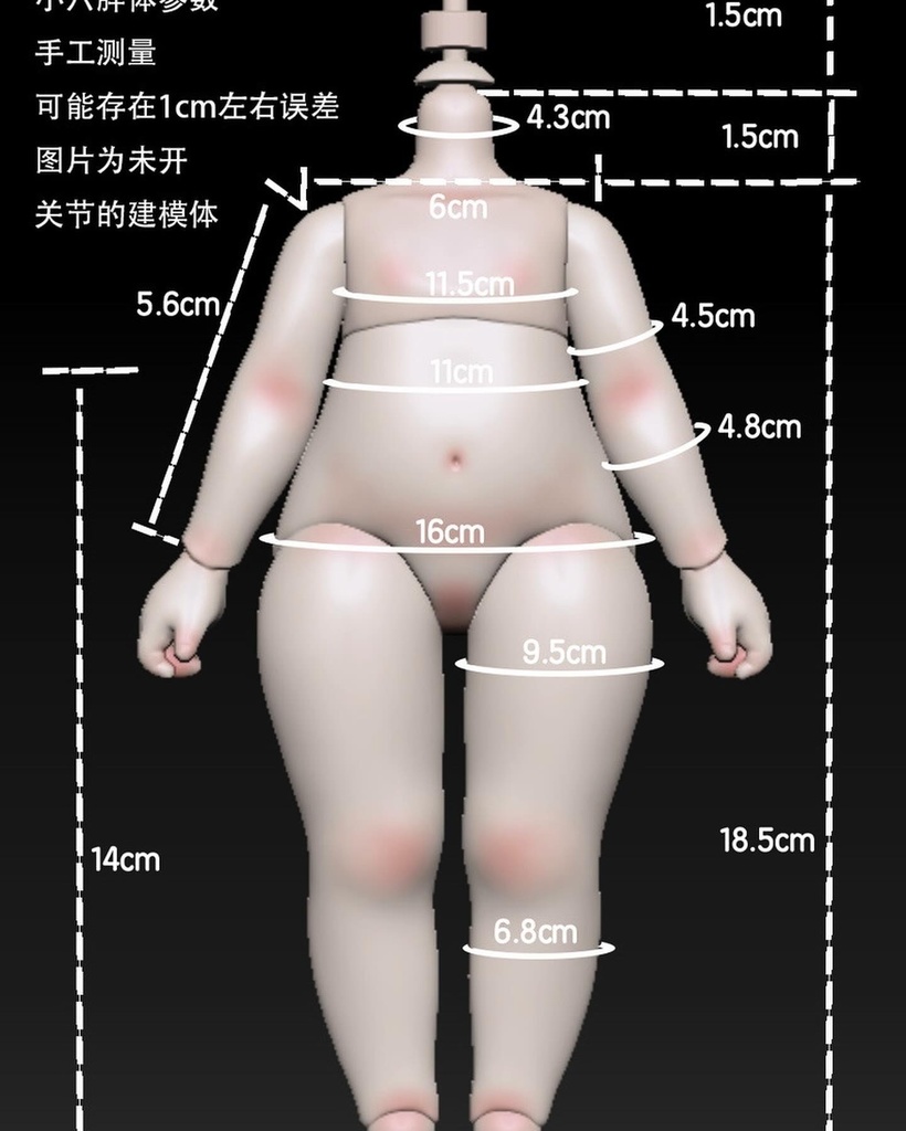 TinyFoxC05ヘッド+STODoll LF体 1/6 size カスタムフルセット