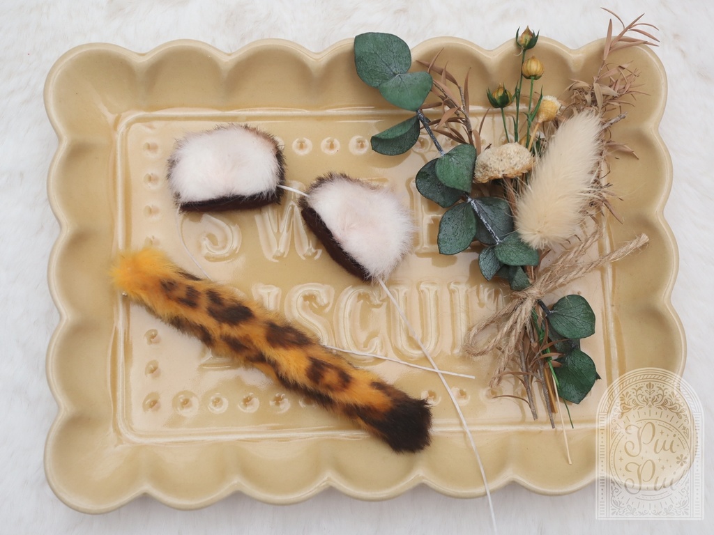 ヒョウになりたい子set