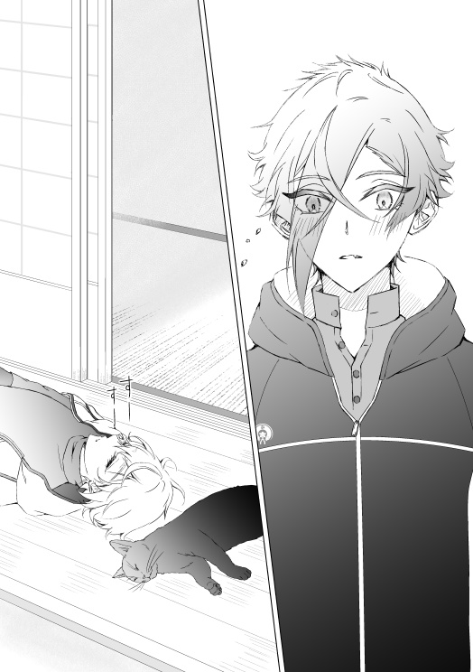 「猫と弟のはなし」「兄と猫のはなし」