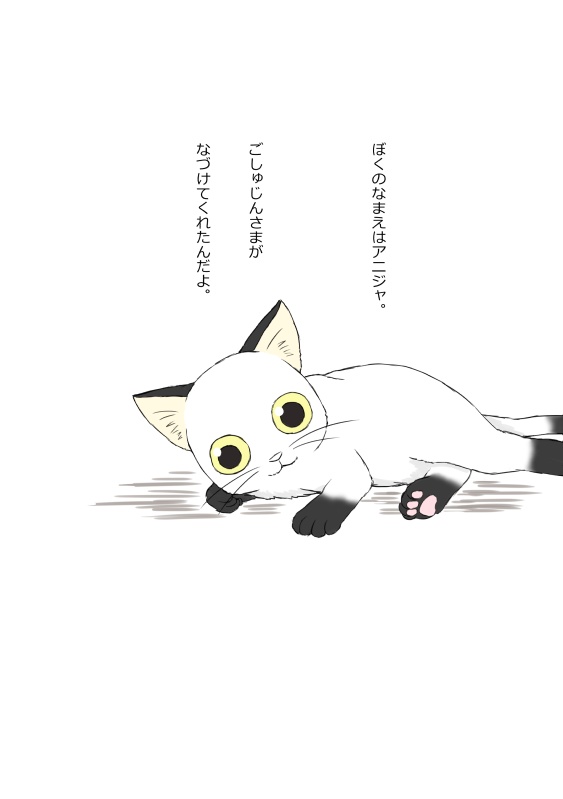 「猫と弟のはなし」「兄と猫のはなし」