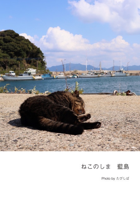ねこのしま　藍島
