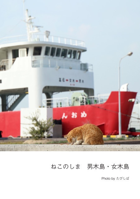 ねこのしま　男木島・女木島