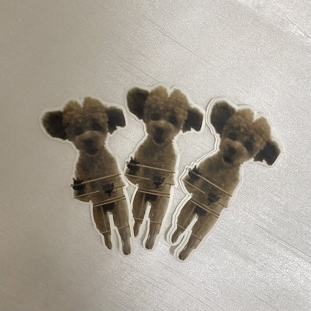 からあげ四足歩行しーる