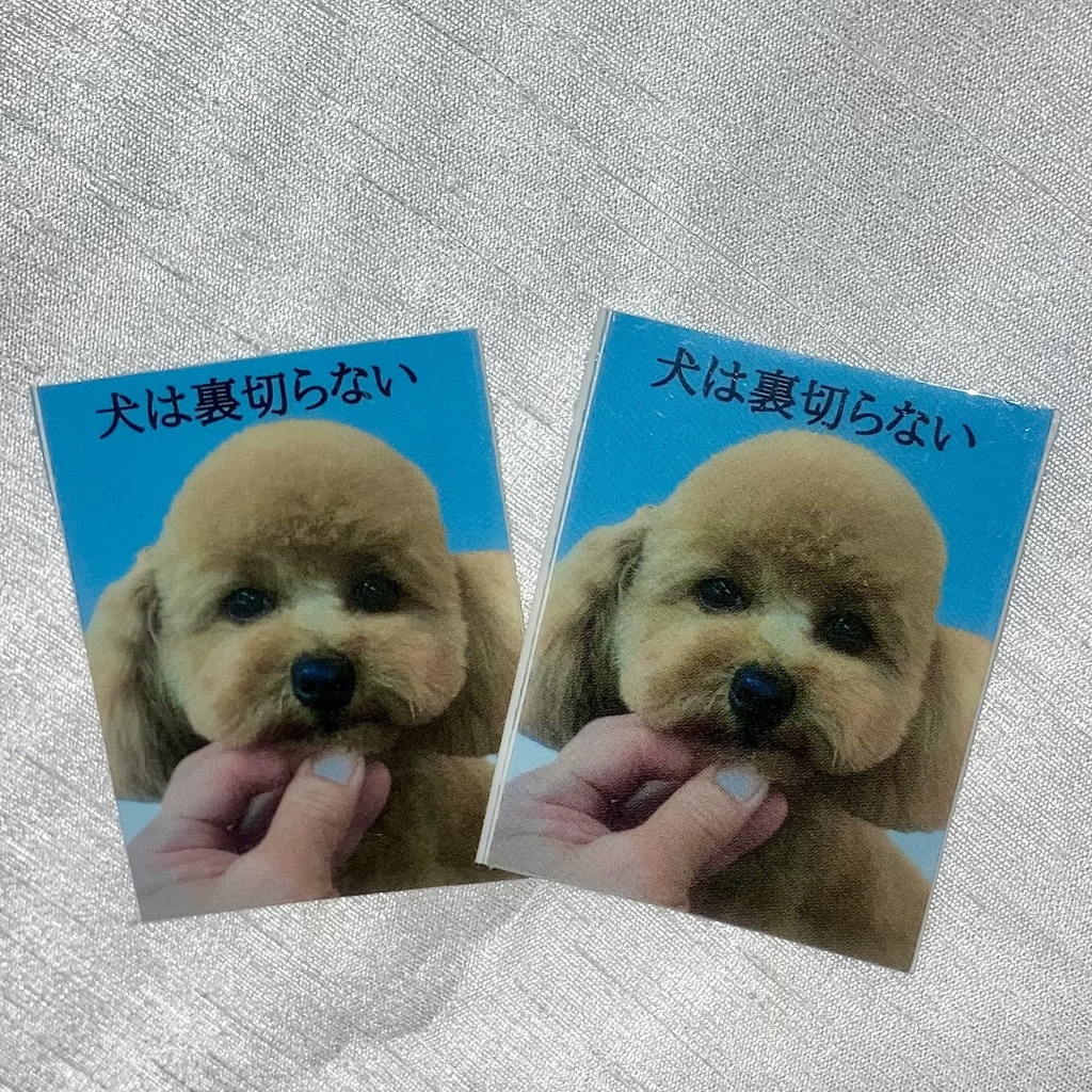 裏切らないしーる