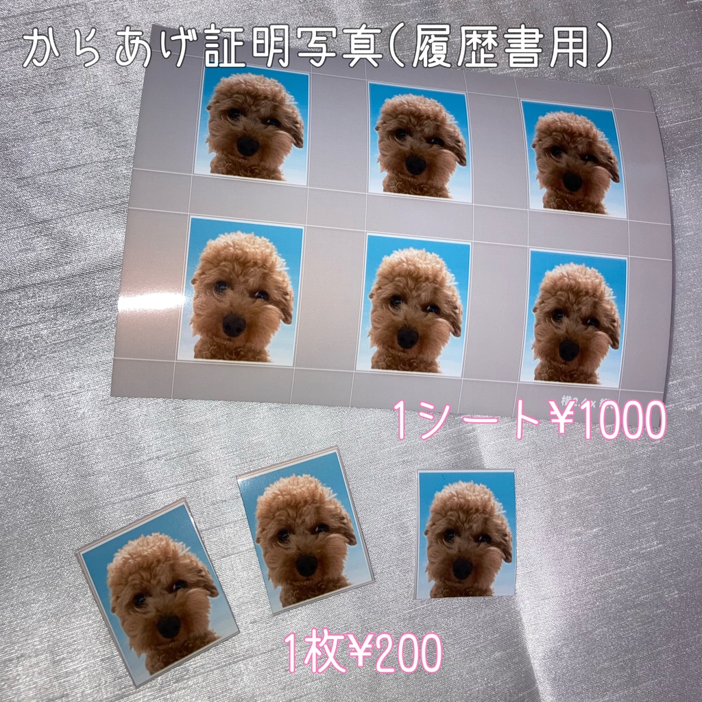 証明写真(履歴書用)