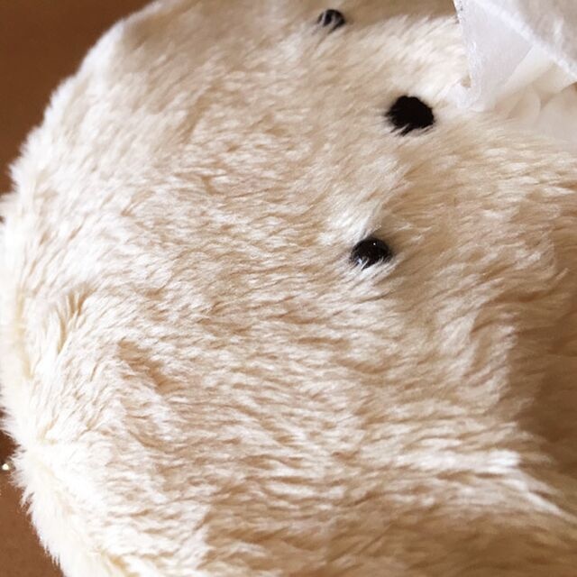 もふいぬティッシュケース アイボリー