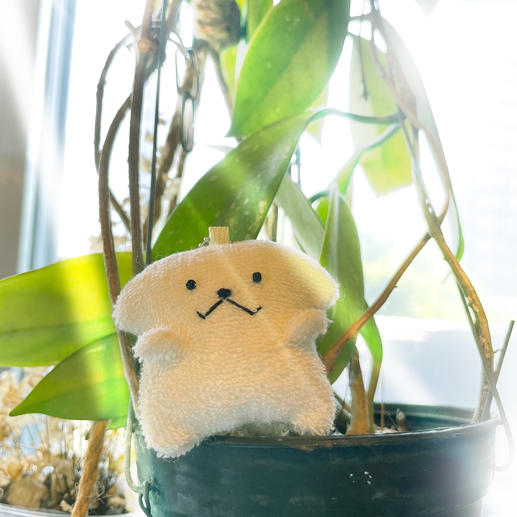 マメもふ【おてて前!】