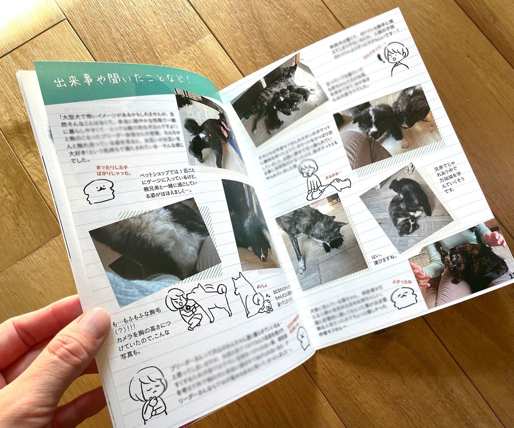 秋田犬をもふる