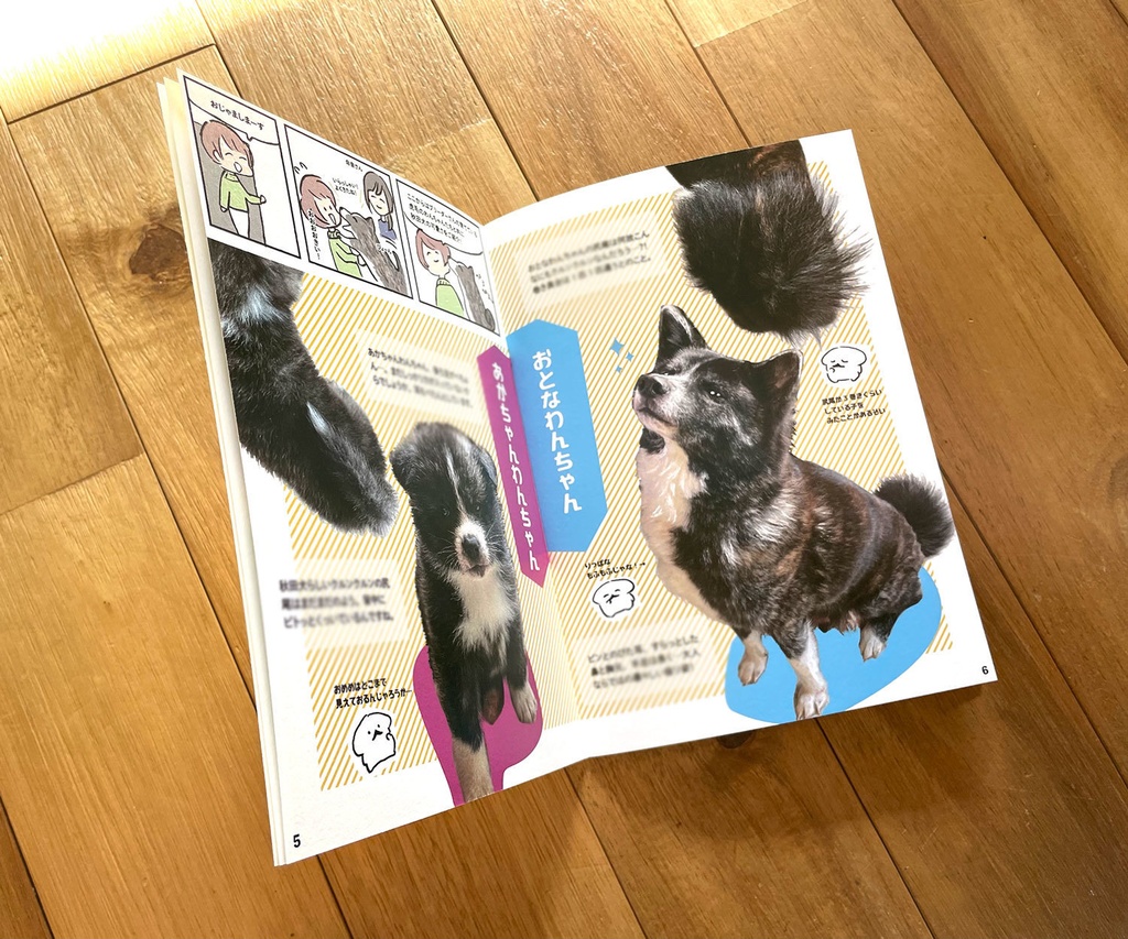 秋田犬をもふる