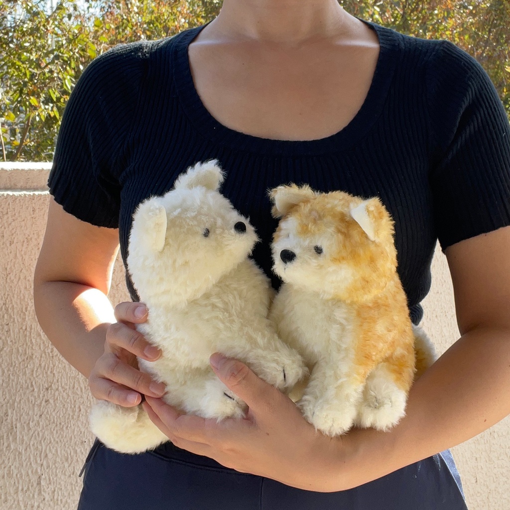 秋田犬わんこ 白毛