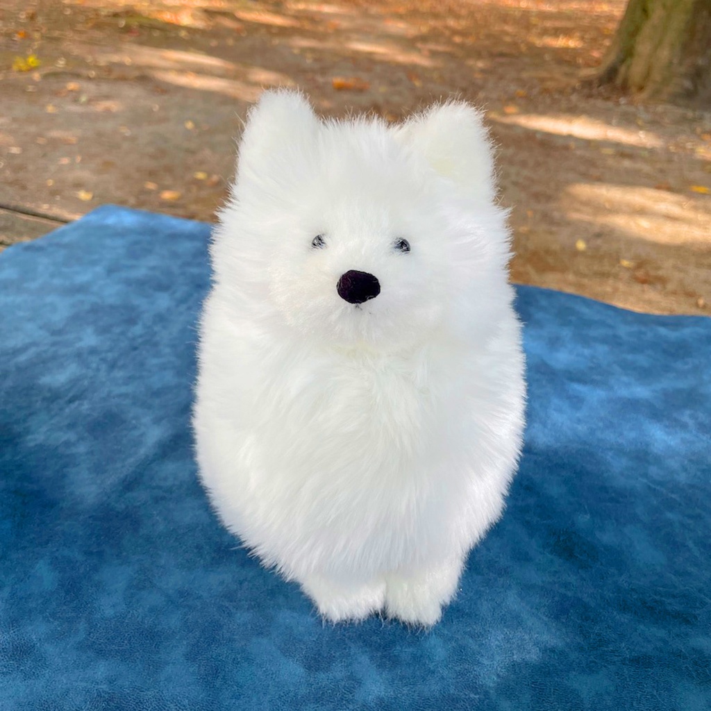 サモエド