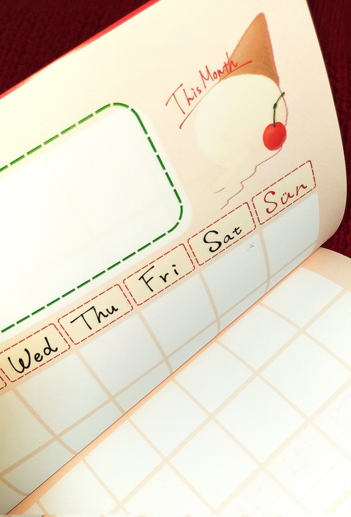 【紙媒体】オリジナル手帳『こーらふろーとがーる』