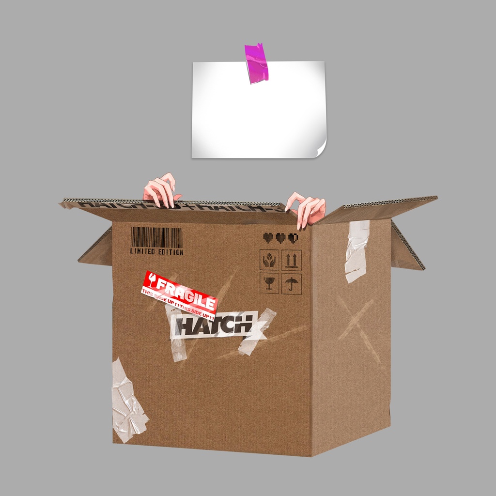 【VTuber】Delivery Box