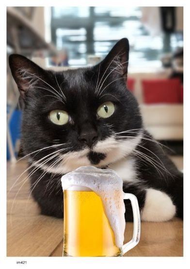 画像 421 猫オヤジ 現代美術 アート ポスター素材 猫 ねこ ネコ CAT ニャンコ にゃんこ にゃん ニャン