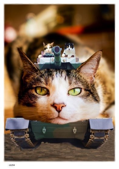 画像 284n 猫戦車 現代美術 アート ポスター素材 ドラネコタンク 猫 ねこ ネコ CAT ニャンコ にゃんこ にゃん ニャン
