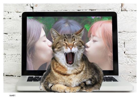 画像 461 PC前の猫 現代美術 アート ポスター素材 猫 ねこ ネコ CAT ニャンコ にゃんこ にゃん ニャン ドラネコ