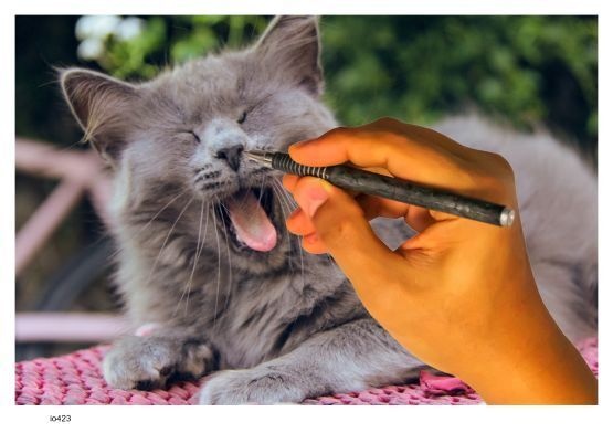 画像 423 やめるのニャ!! 現代美術 アート ポスター素材 猫 ねこ ネコ CAT ニャンコ にゃんこ にゃん ニャン ドラネコ