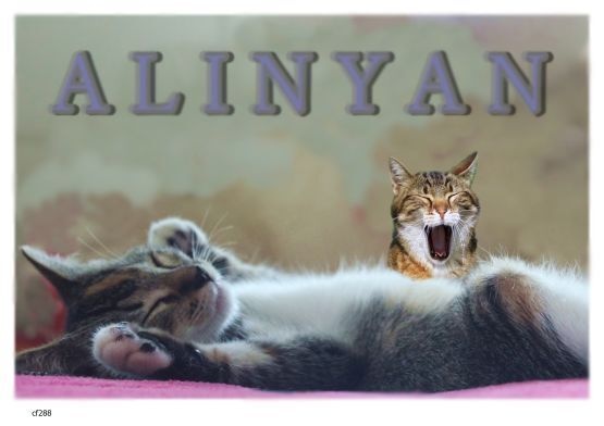 画像 288 エイリニャン 現代美術 アート ポスター素材 エイリアン 猫 ねこ ネコ CAT ニャンコ にゃんこ にゃん ニャン ドラネコ 子猫 仔猫 子ネコ 子ねこ こねこ