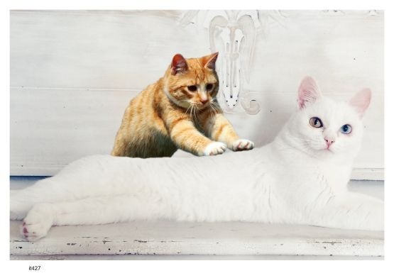 画像 427 マッサージ 現代美術 アート ポスター素材 猫 ねこ ネコ CAT ニャンコ にゃんこ にゃん ニャン
