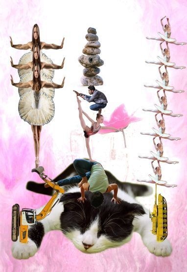 画像 492 超のせ猫 現代美術 アート ポスター素材 爆笑画像 お笑い ファンタジー 猫 バレエ ねこ ネコ CAT