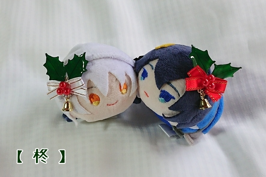 柊・ポインセチア