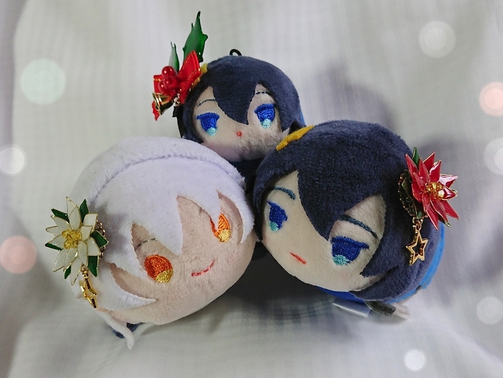 柊・ポインセチア