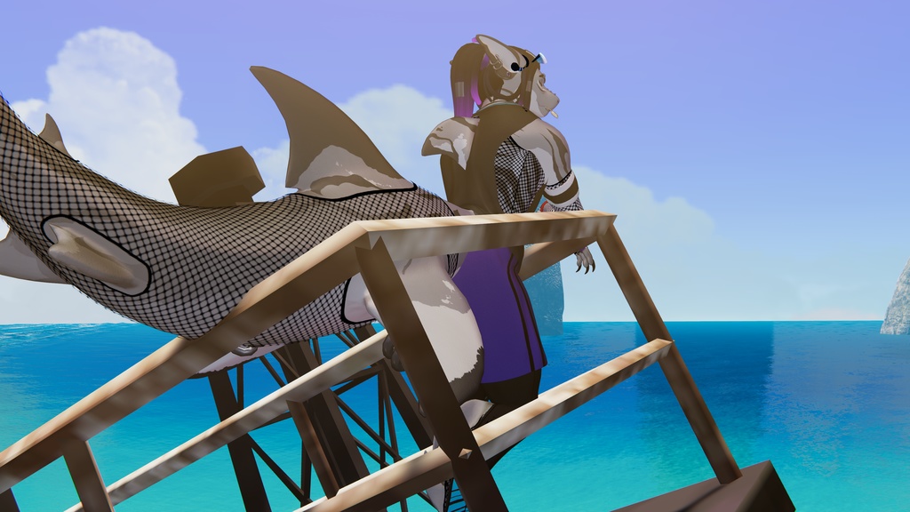 FISHnets for Shawn the shark