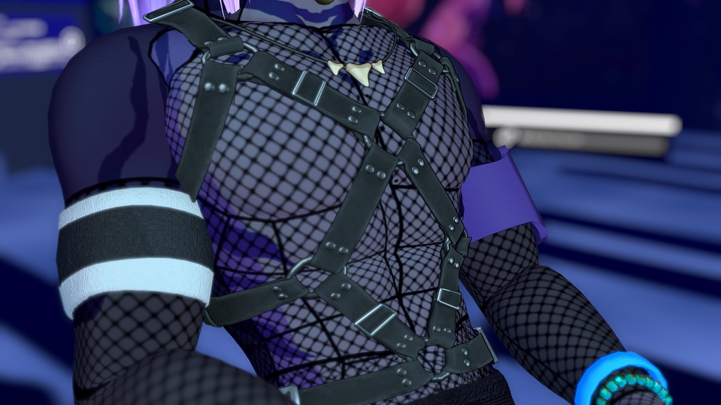 Harness, Collar, & Muzzle for Shawn the shark