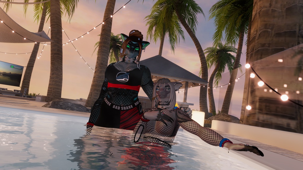 Fishnets for Shiaenne the Shark