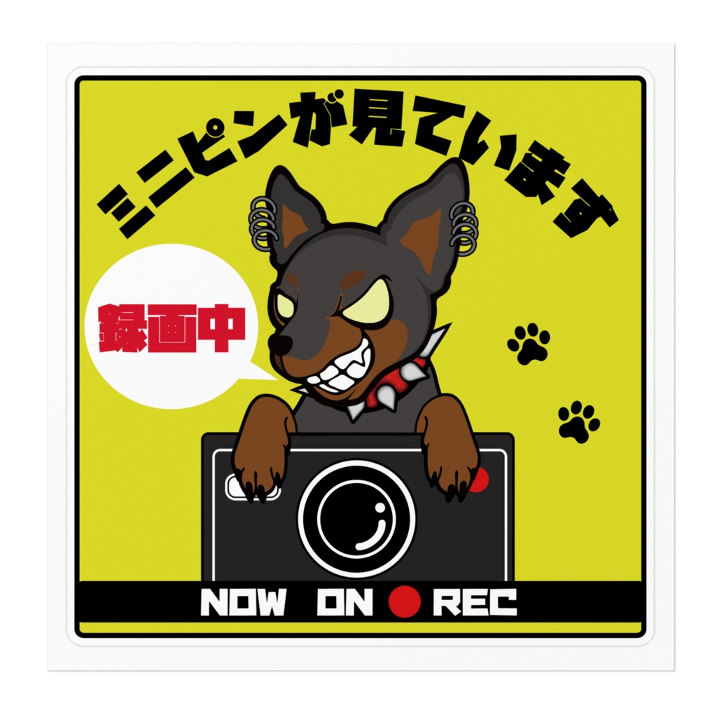ミニチュアピンシャー【ミニピンが見ています】ドラレコステッカー/ブラックタン/正方形/サイズ大