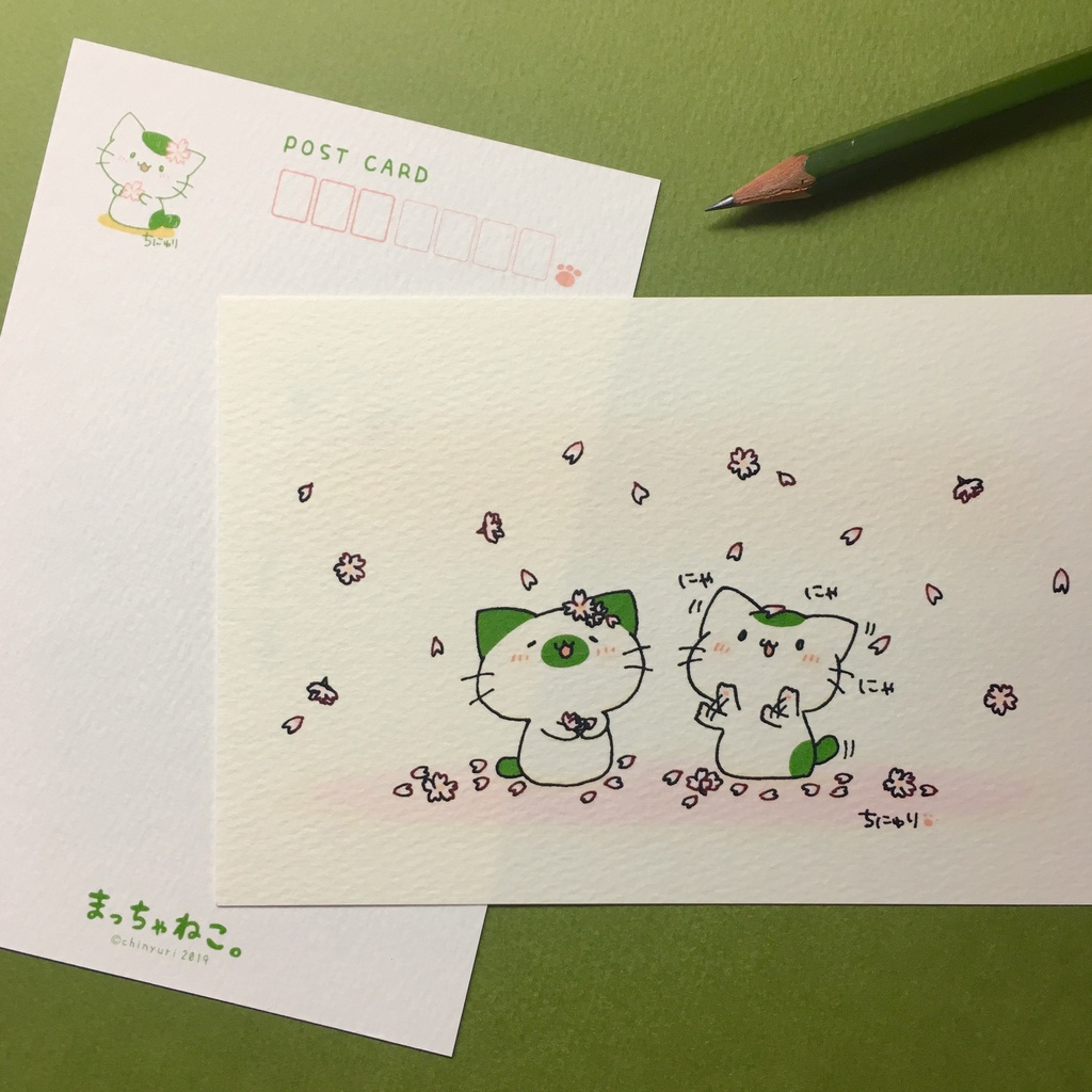 まっちゃねこ。ポストカード【さくら】