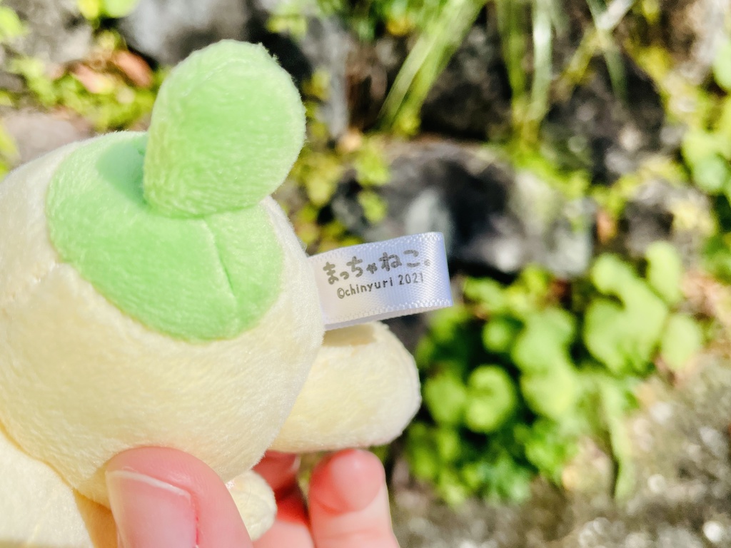 手足がうごく!まっちゃねこ。ぬいぐるみ