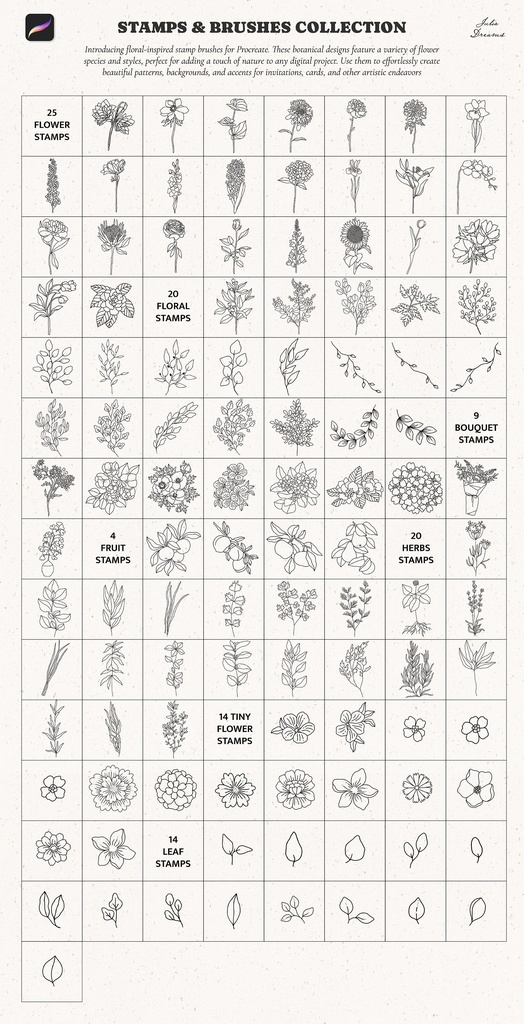 Procreateスタンプ&ブラシ:ボタニカル・フローラル・フラワーブラシ&スタンプ Procreate Stamps and Brushes
