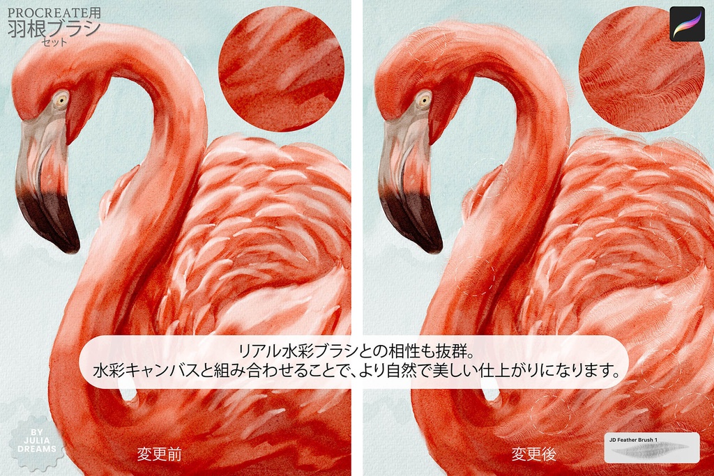 Procreate用 羽ブラシ Feather Brushes for Procreate