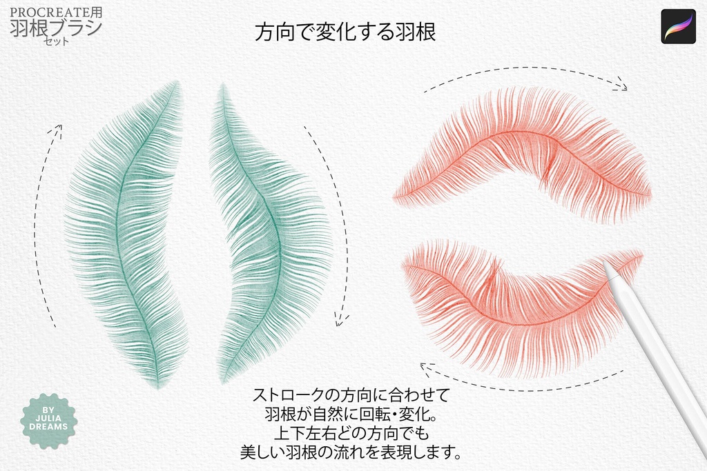 Procreate用 羽ブラシ Feather Brushes for Procreate