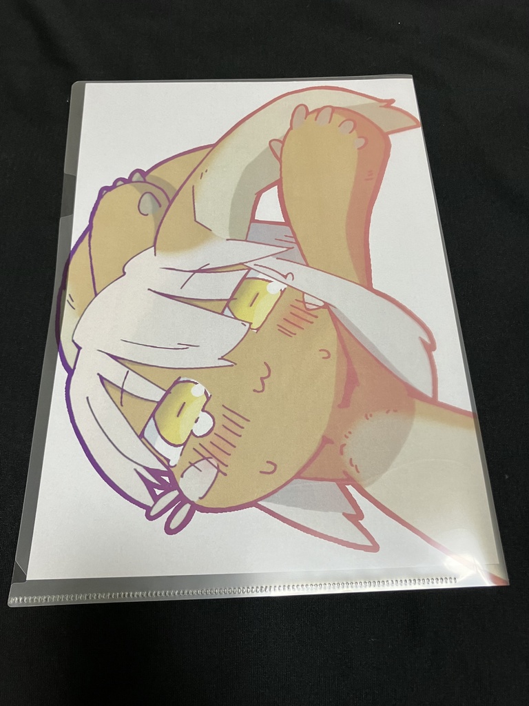 ナナチの透け透けA4クリアファイル