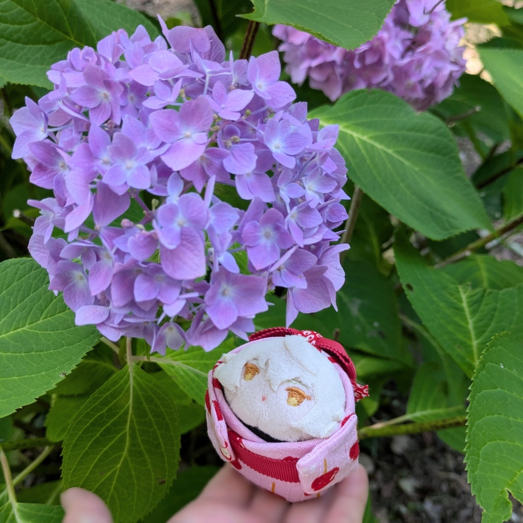 りんご飴柄の浴衣(キラキラ水風船付き)もちマスミニサイズ用