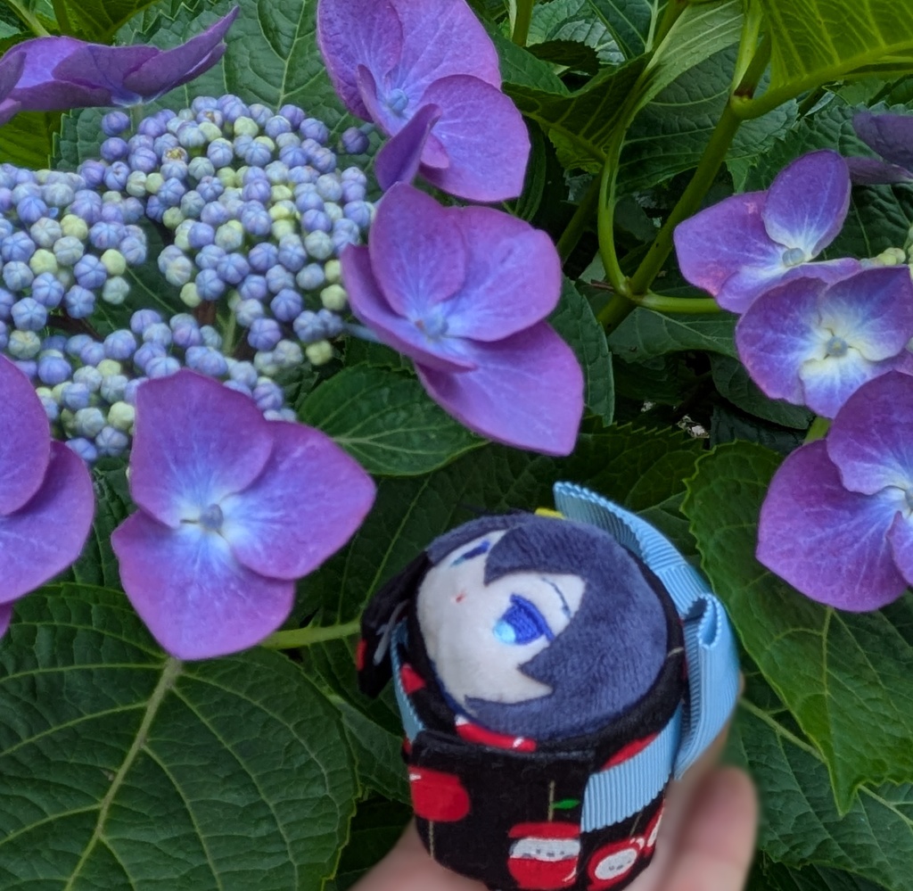 りんご飴柄の浴衣(キラキラ水風船付き)もちマスミニサイズ用