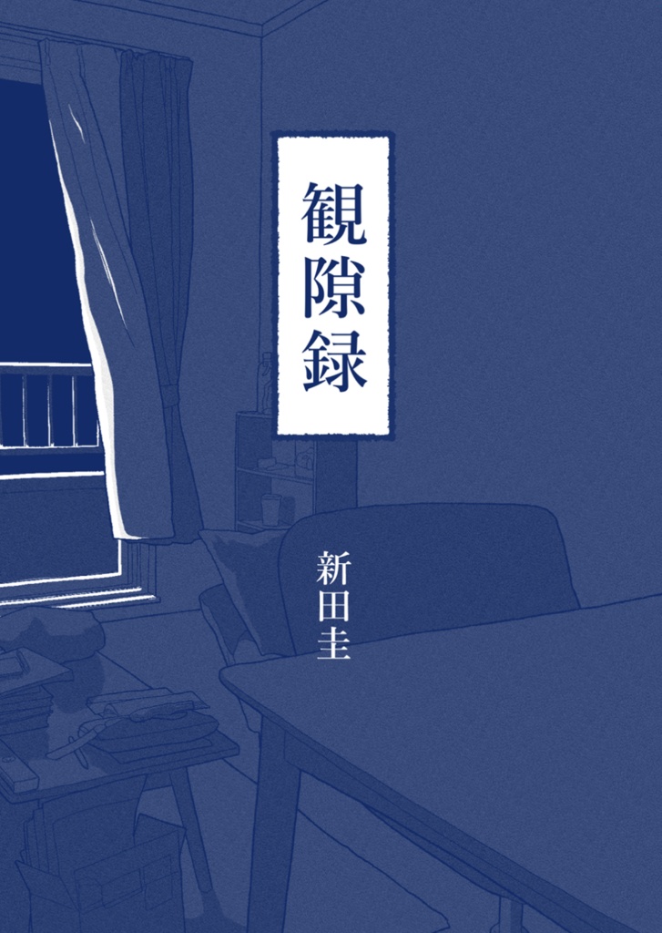 観隙録
