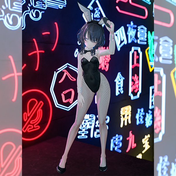 EELWORKS バニーガールポーズ集 【全30種類】