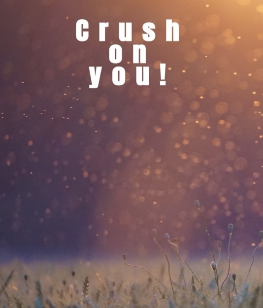 crush on you！ 【ジュンあん】