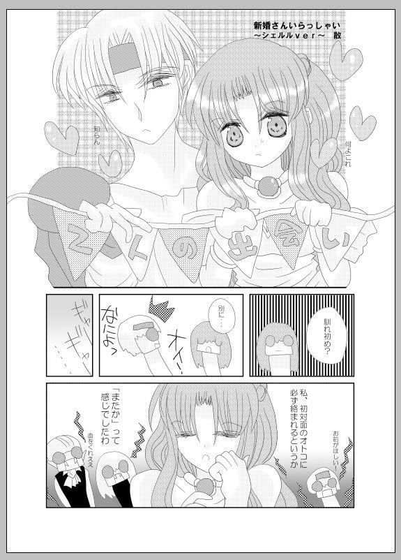 【再版】シェルル分析本